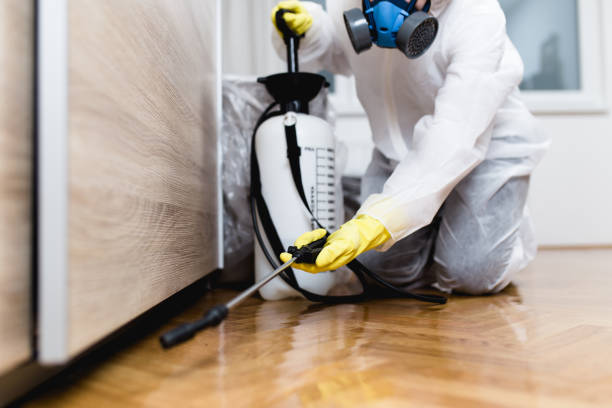 Best Emergency Pest Control  in Glencoe, FL