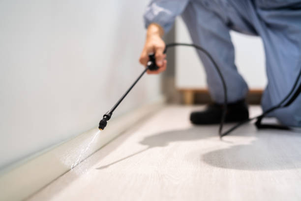 Best Pest Removal Services  in Glencoe, FL