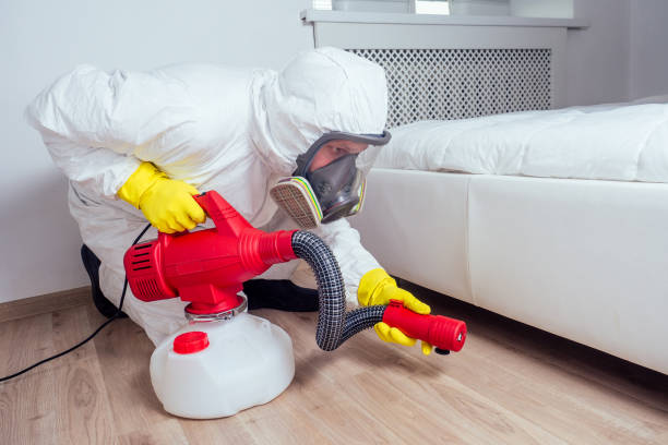 Best Pest Inspection Near Me  in Glencoe, FL
