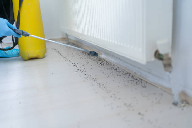 Best Exterminator Services  in Glencoe, FL