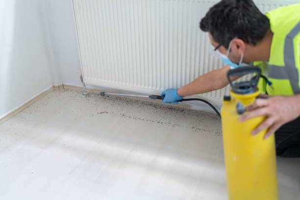 Best Flea Control Services  in Glencoe, FL